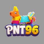 PNT96 com Profile Picture