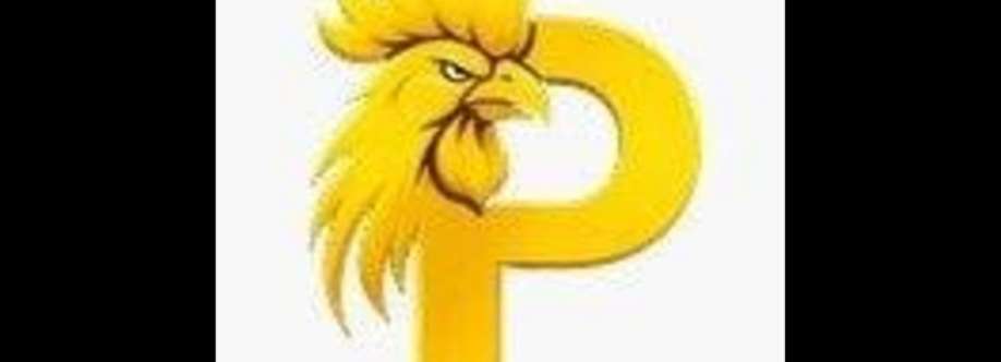 Paito SDY Cover Image