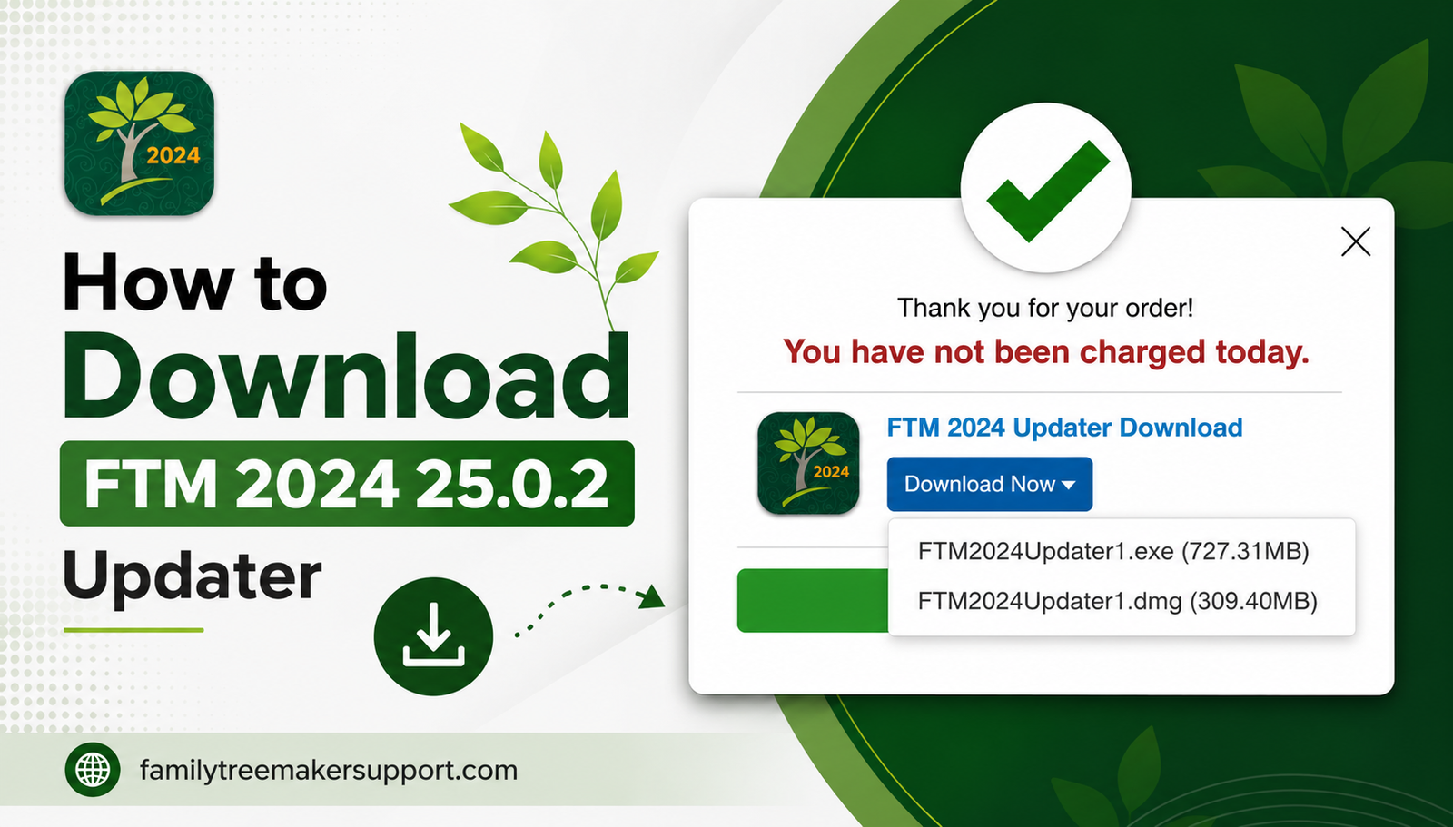 How to Upgrade to FTM 2024 25.0.2 Updater?