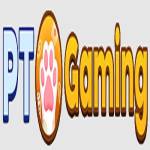 PT Gaming Profile Picture