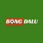 bongdalu11 net Profile Picture