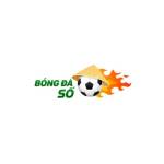 bongdaso24 org Profile Picture