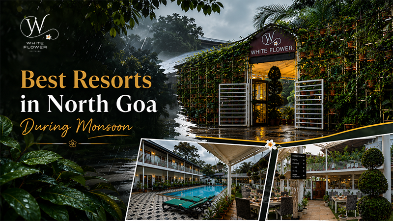 Best Resorts in North Goa During Monsoon