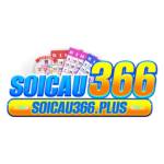 Nền tảng Soicau366 Profile Picture
