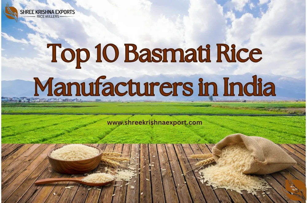 Top 10 Best Basmati Rice Manufacturers in India You Can Trust in 2026