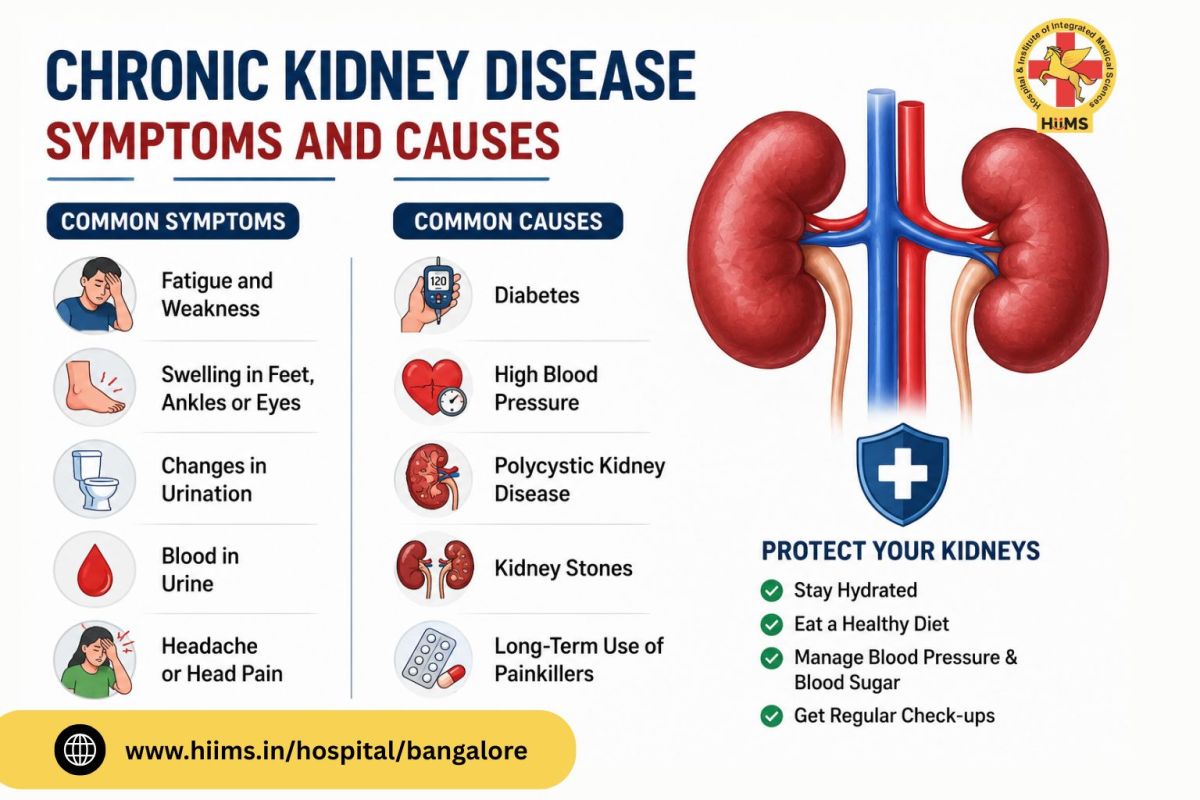 Chronic Kidney Disease: Symptoms, Causes & Early Warning Signs You Should Never Ignore – HiiMS Bangalore