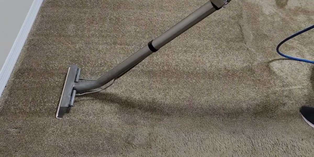 How Often Should You Schedule Rug Cleaning in River Forest?