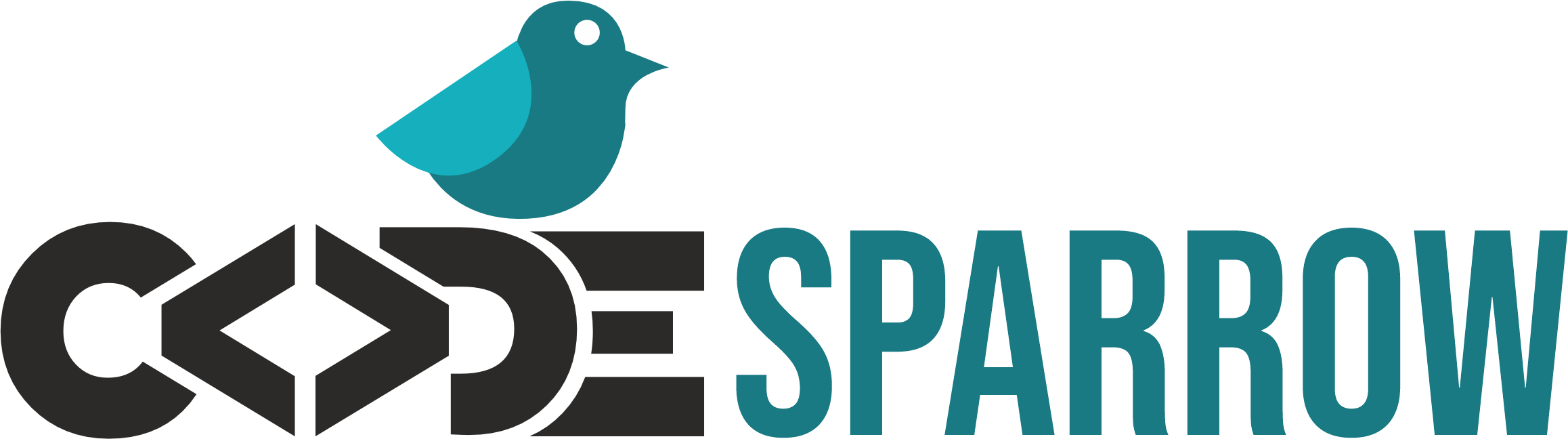 Best Website Development Company in Delhi