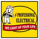 Professional Electrical Profile Picture