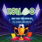 Xoi Lac TV Profile Picture