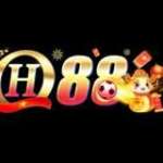 QH88 Vin Online Profile Picture