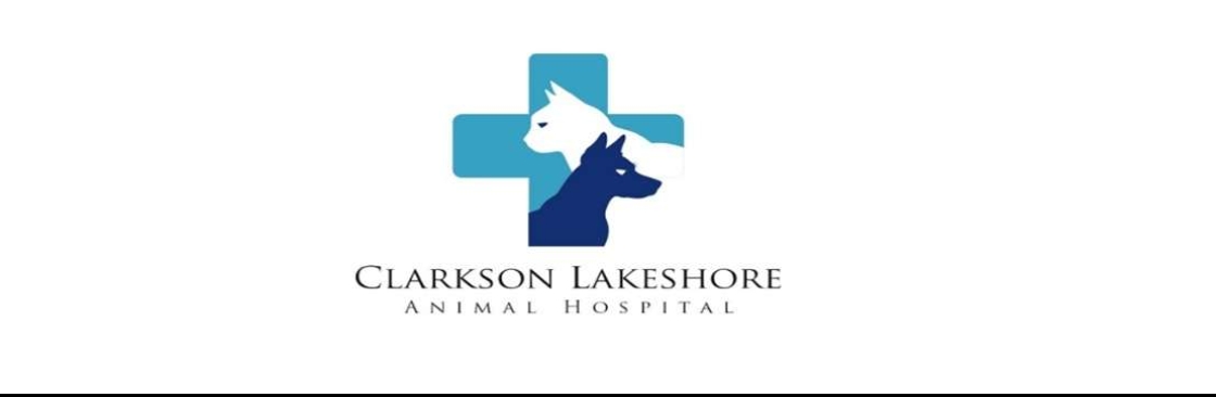 Clarkson Lakeshore Cover Image