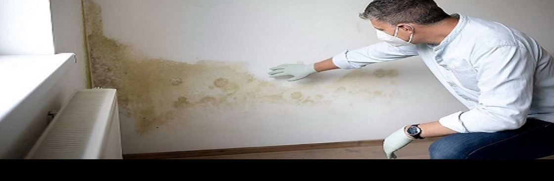 The Mould Assessors Cover Image