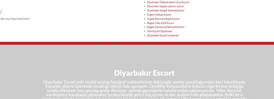 Diyarbakır escort Cover Image
