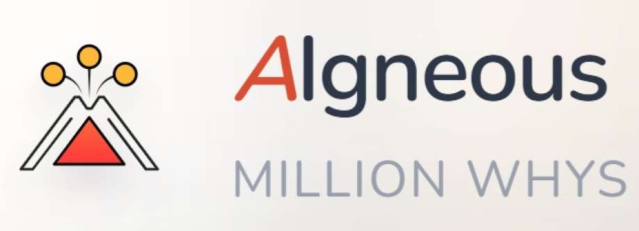 AIgneous Million Whys Cover Image