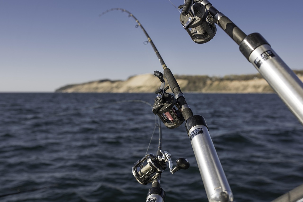 Deep sea day fishing trips