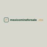 Mexico Mine for Sale Profile Picture