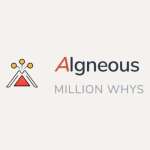 AIgneous Million Whys Profile Picture