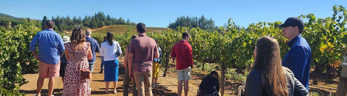 How a Bachelorette Wine Tour Brings Friends Together Before the Wedding | by Platypus Tours | Jul, 2026 | Medium