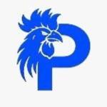 Paito SGP SGP Profile Picture