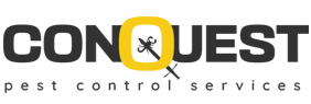 Bed Bug Extermination Services | Affordable and Hassle-Free