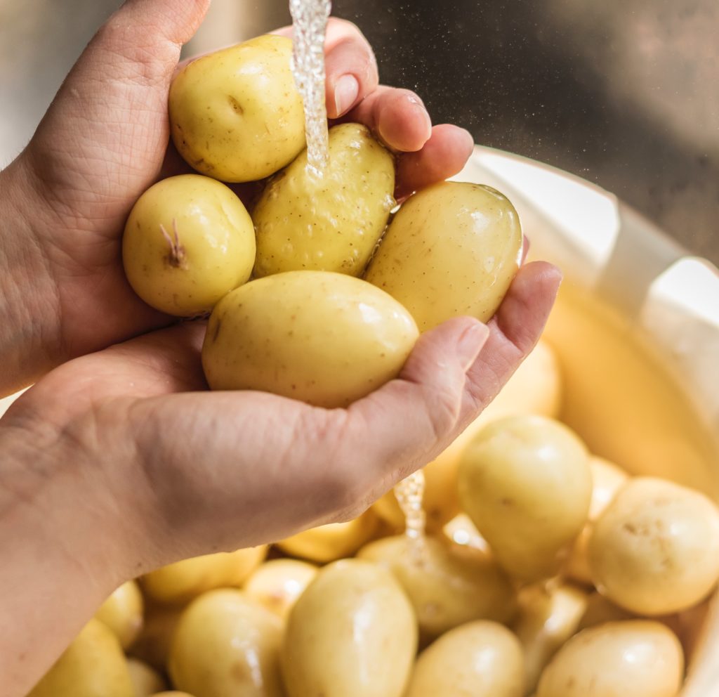 potato growers in Pennsylvania | Connect with Growers