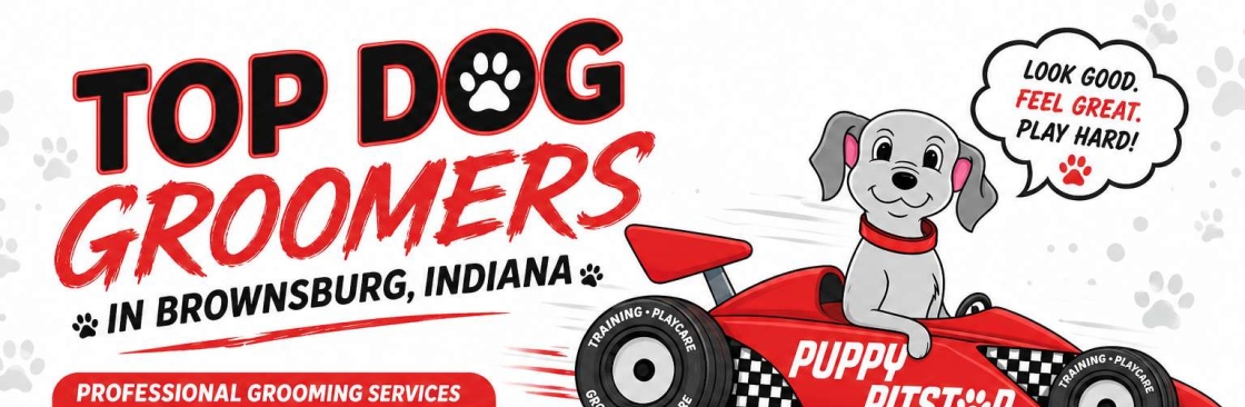 Puppy Pitstop Cover Image
