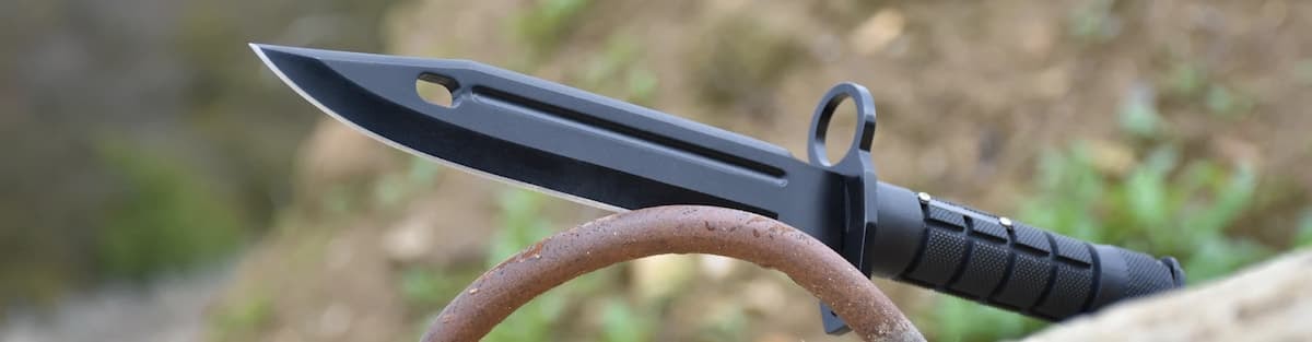 The Curious Mind: The Bayonet Knife: Types and Features Explained