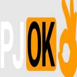 pjok88 net Profile Picture