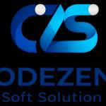 codezens softsolution Profile Picture