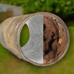 Pro Trenchless Services Profile Picture