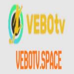 vebotv space Profile Picture