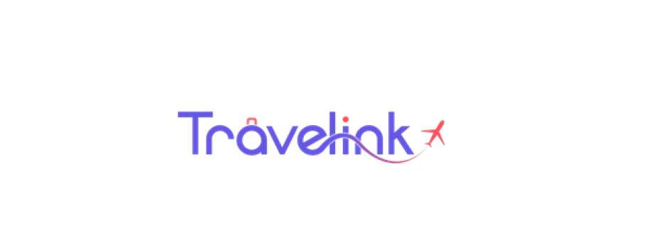 Travelink India Cover Image