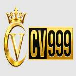 cv999 com Profile Picture