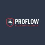 ProFlow Plumbing and  Drain Profile Picture