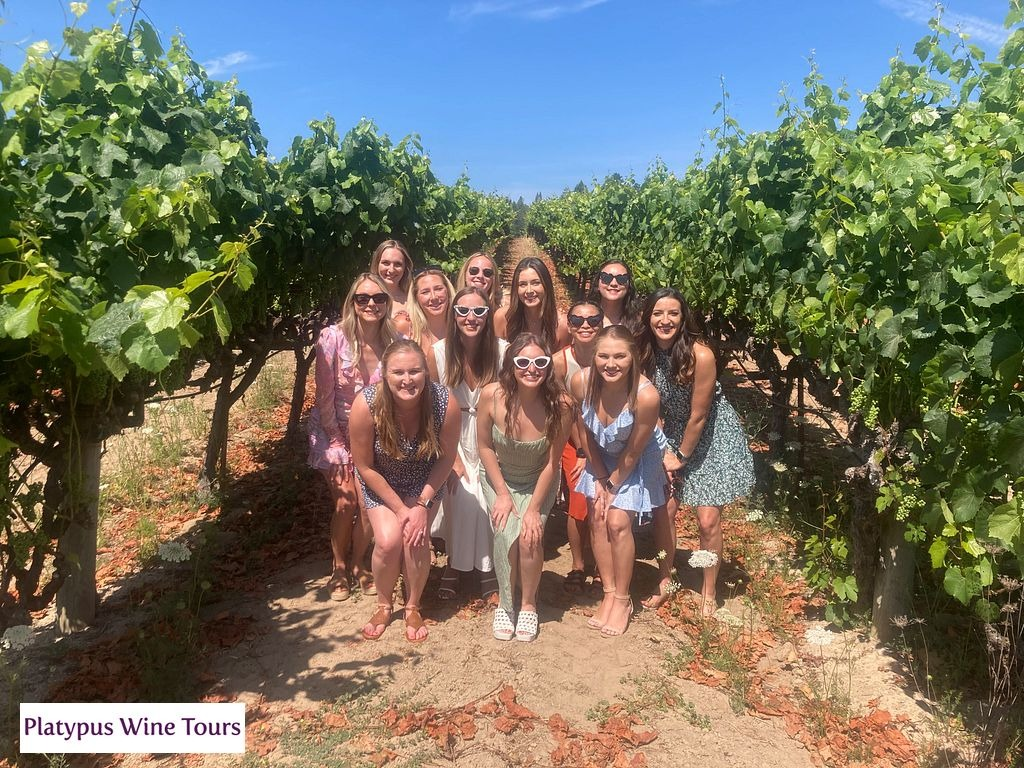 What Every Maid of Honor Should Know About Bachelorette Wine Tours – Daily Journal  Info