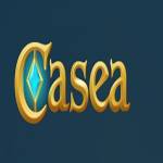 CASEA Hungary Profile Picture