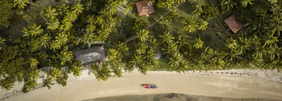 Papageno Resort Cover Image
