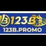 123B promo Profile Picture