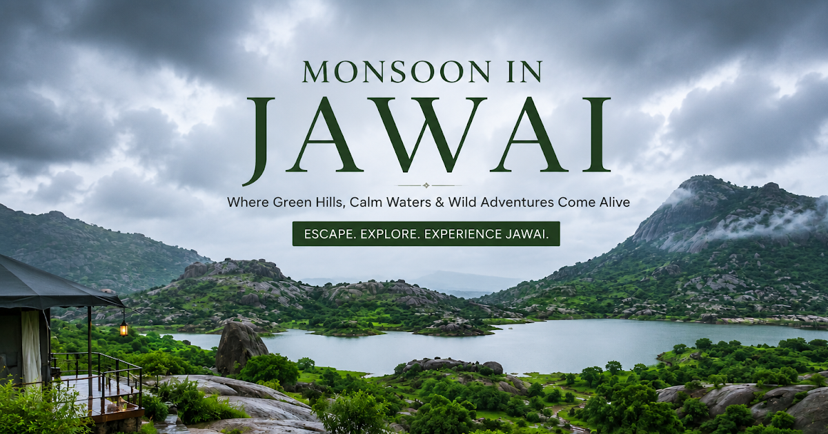 Monsoon in Jawai: A Hidden Green Paradise of Rajasthan