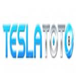 TESLA TOTO Profile Picture