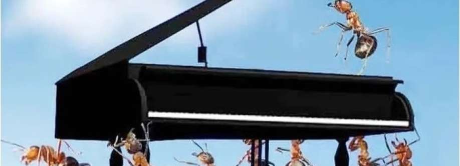 Sydney Piano Removals Cover Image