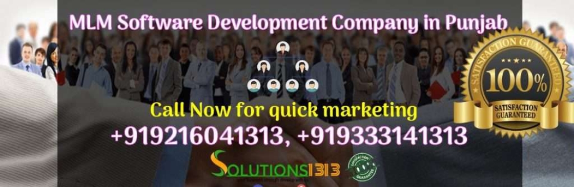 Solutions 1313 Cover Image
