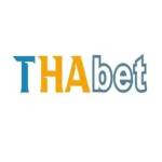 THABET3 IN NET Profile Picture