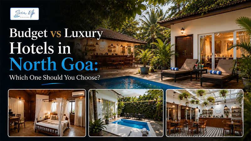 Budget vs Luxury Hotels in North Goa: Which One Should You Choose?
