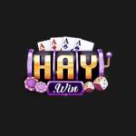 Haywin Profile Picture