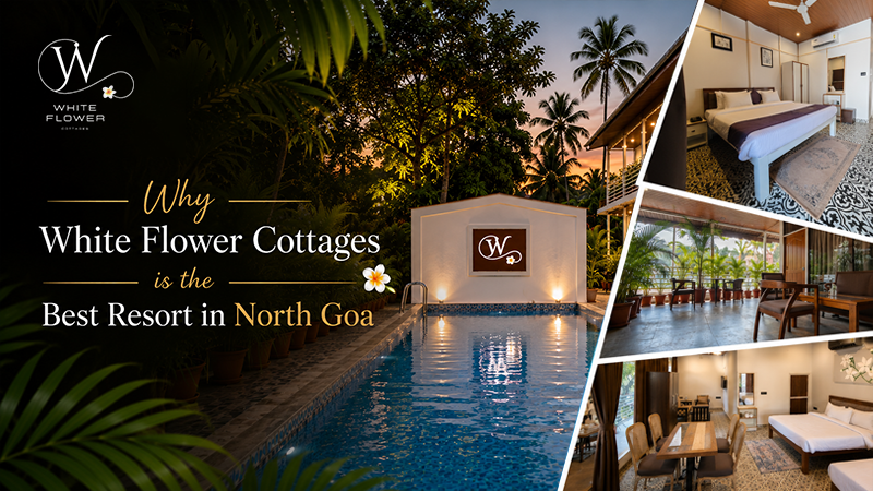 Why White Flower Cottages is the Best Resort in North Goa