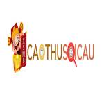Cao Thủ Soi Cầu Profile Picture