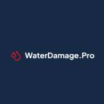 Water Damage Pro Profile Picture
