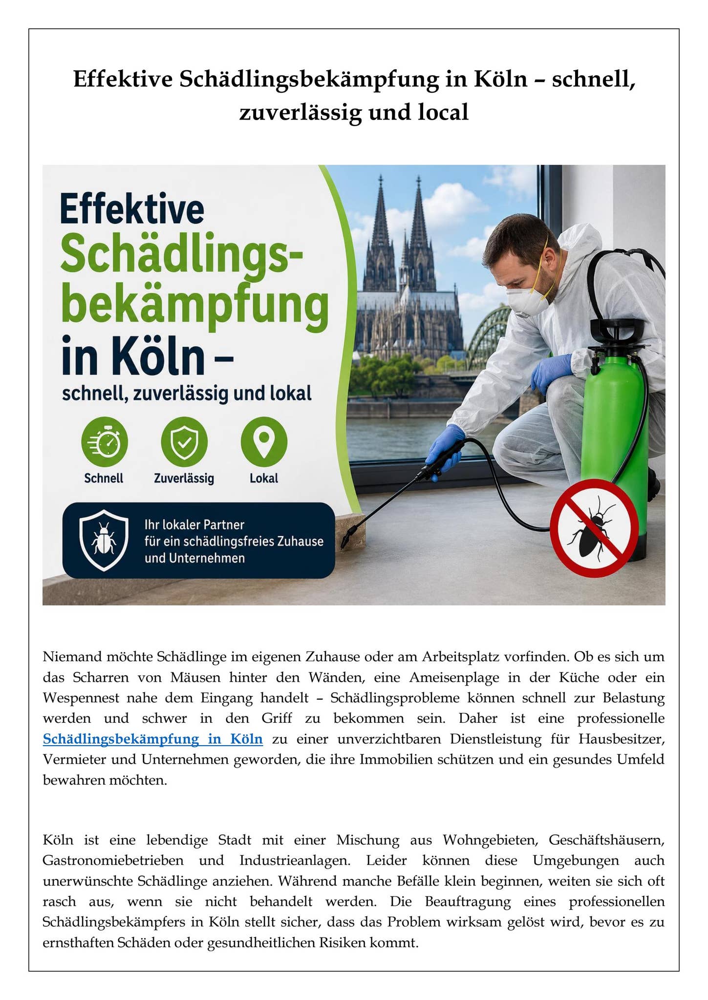 Effektive Schädlingsbekämpfung in Köln – schnell, zuverlässig und lokal